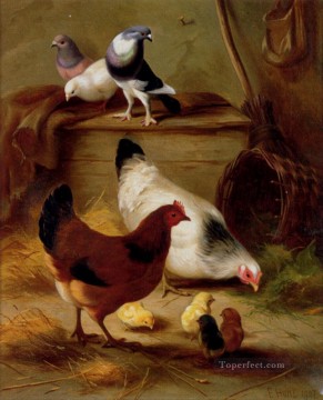  Edgar Pintura al %C3%B3leo - Palomas y gallinas animales de granja Edgar Hunt